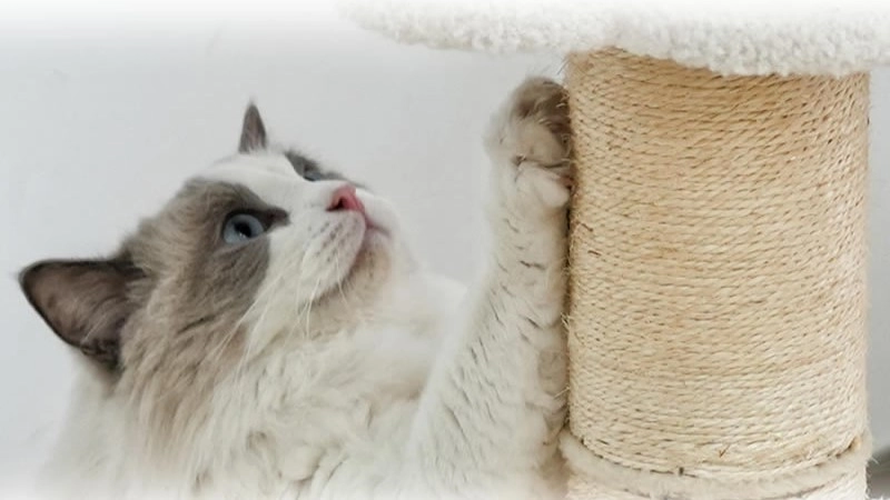 Cloud Carpeted Cat Tree with Three Perches - Sisal scratching post