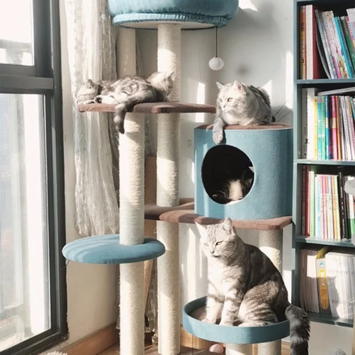 Cute Cat Tree with A Crown Perch