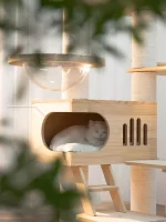 Large Solid Wood Cat Condo for Large Cats