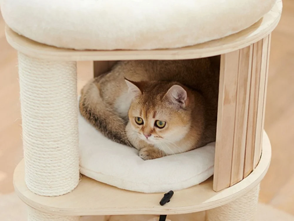 Modern Solid Wood Cat Tree with Hammock and Condo - Wooden condo