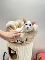 Scratching Barrel Cat Condo with a Cushion Nest