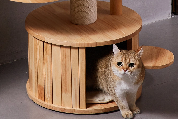 Solid Wood Cat Tree for Munchkin Cats - Extra large condo