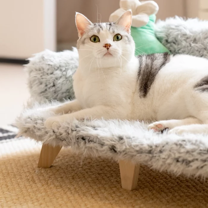 Wooden Elevated Pet Sofa Bed with Long Plush