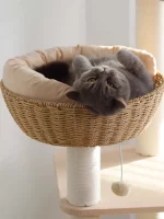 Wooden Wicker Cat Tower for Multiple Cats