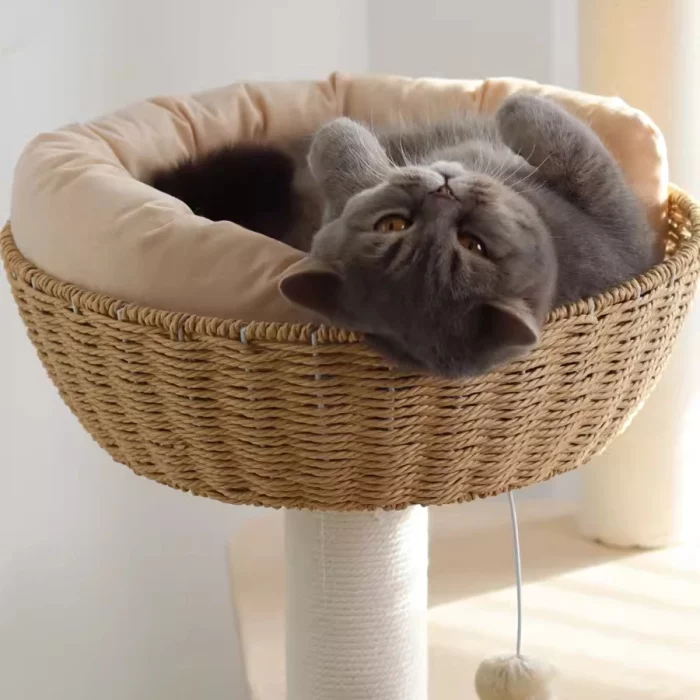 Wooden Wicker Cat Tower for Multiple Cats