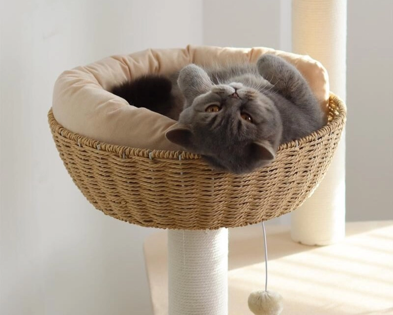 Wooden Wicker Cat Tower for Multiple Cats - Wicker perch