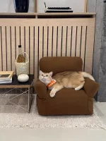 Brown White Cat Sofa Cushion Bed