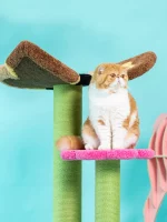 Butterfly Carpet Cat Tree with Flower Perches