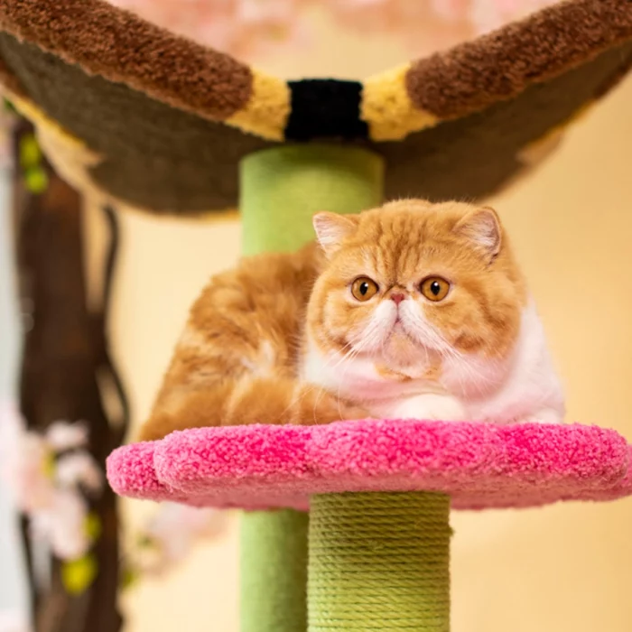 Butterfly Carpet Cat Tree with Flower Perches