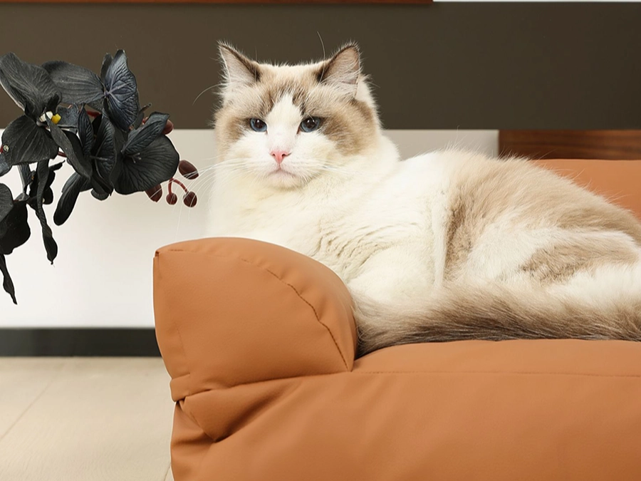 Luxury PU Leather Cat Sofa Bed - A cat is laying on this leather sofa bed