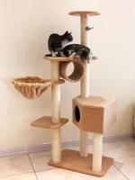 Pure Color Carpet Cat Tree with Hammock