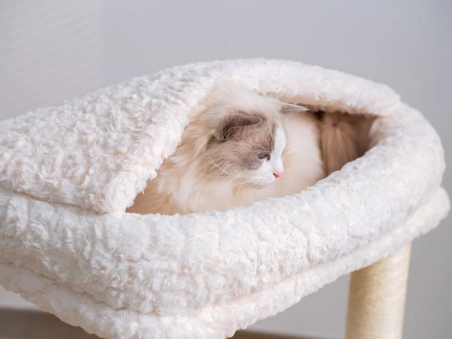 Small Carpet Cat Tower with Large Perch - Large plush perch